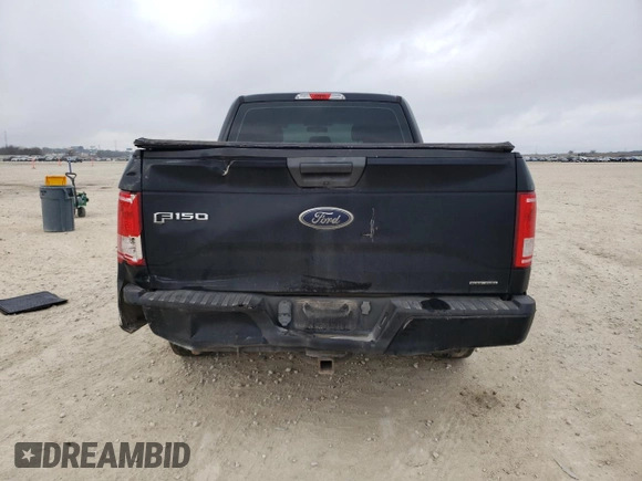 2016 Ford F-150 XL with VIN 1FTEX1C89GFB01148, listed as a Copart auction lot 41843375 with 109,875 mi miles and Salvage Title. Bid and sale history available at carsss.com. Image 6.