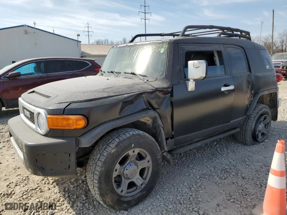 2007 Toyota FJ Cruiser with VIN JTEBU11F970019447, listed as a Copart auction lot 48753225 with 179,717 mi miles and Salvage Title. Bid and sale history available at carsss.com. Image 1.
