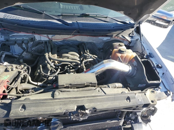 2013 Ford F-150 XL with VIN 1FTMF1CF2DFC41969, listed as a Copart auction lot 49729085 with 195,243 mi miles and Salvage title. Bid and sale history available at DreamBid. Image 12.