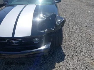 2006 Ford Mustang Standard with VIN 1ZVFT80N065182187, listed as a IAAI auction lot 42453637 with Not provided miles and . Bid and sale history available at DreamBid. Image 19.