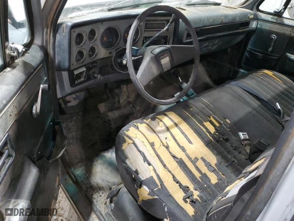 1982 Chevrolet C/K 1500 with VIN 1GCEK14HXCF391486, listed as a Copart auction lot 47890955 with 75,984 mi miles and Clean Title. Bid and sale history available at carsss.com. Image 8.