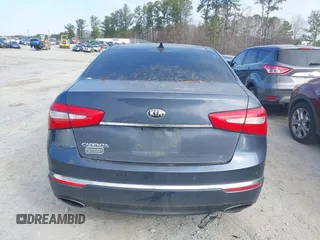 2015 Kia Cadenza Premium with VIN KNALN4D79F5195179, listed as a IAAI auction lot 41497523 with 258,695 mi miles. Bid and sale history available at carsss.com. Image 16.