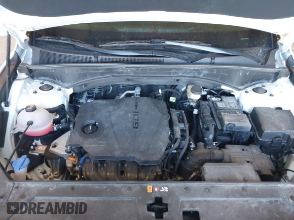 2023 Hyundai Santa Fe SE с VIN 5NMS1DAJ1PH617129, выставлен на аукционе IAAI как лот 41847525 с пробегом 40 036 миль миль и . История ставок и продаж доступна на DreamBid. Изображение 10.