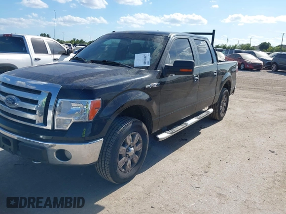 2009 Ford F-150 XL with VIN 1FTRW14809FA56557, listed as a IAAI auction lot 42802888 with 179,928 mi miles and . Bid and sale history available at DreamBid. Image 17.