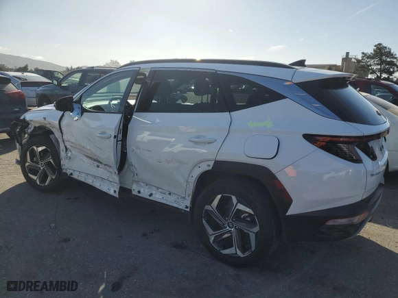 2023 Hyundai Tucson Limited with VIN 5NMJECAE2PH226388, listed as a Copart auction lot 49289915 with 22,220 mi miles and Salvage Title. Bid and sale history available at carsss.com. Image 2.