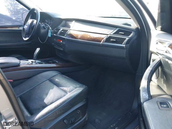 2009 BMW X5 30i with VIN 5UXFE43559L263332, listed as a IAAI auction lot 41998651 with 209,264 mi miles. Bid and sale history available at carsss.com. Image 5.