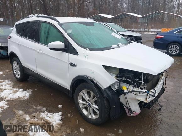 2018 Ford Escape SEL with VIN 1FMCU9HD9JUA69594, listed as a IAAI auction lot 41571208 with 124,193 mi miles. Bid and sale history available at carsss.com. Image 1.