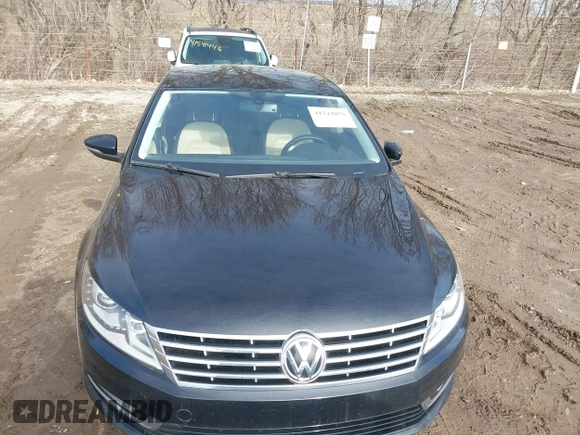 2014 Volkswagen CC Sport with VIN WVWBP7AN4EE534247, listed as a IAAI auction lot 41542076 with 119,199 mi miles and . Bid and sale history available at DreamBid. Image 6.