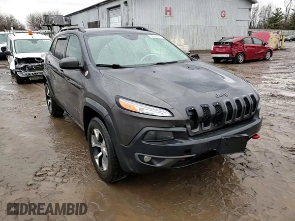 2014 Jeep Cherokee Trailhawk with VIN 1C4PJMBB6EW310613, listed as a Copart auction lot 46438185 with 122,113 mi miles and Salvage Title. Bid and sale history available at carsss.com. Image 12.