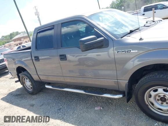 2010 Ford F-150 XL with VIN 1FTEW1E87AFD69672, listed as a IAAI auction lot 42590920 with 117,126 mi miles and . Bid and sale history available at DreamBid. Image 13.