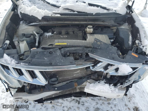 2010 Nissan Murano LE with VIN JN8AZ1MW8AW134658, listed as a Copart auction lot 45896465 with 137,943 mi miles and Salvage Title. Bid and sale history available at carsss.com. Image 13.