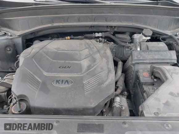 2020 Kia Telluride SX with VIN 5XYP5DHC9LG028738, listed as a IAAI auction lot 41577464 with 123,455 mi miles and . Bid and sale history available at DreamBid. Image 10.