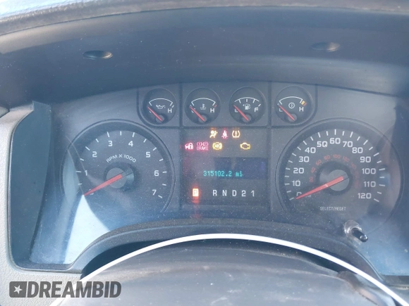 2009 Ford F-150 STX with VIN 1FTRX12W99KB72877, listed as a IAAI auction lot 41341609 with 315,102 mi miles. Bid and sale history available at carsss.com. Image 7.