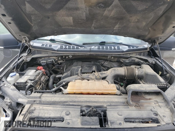 2017 Ford F-150 XL with VIN 1FTEW1EP4HFB03334, listed as a Copart auction lot 80623344 with 123,193 mi miles and Salvage Title. Bid and sale history available at carsss.com. Image 11.
