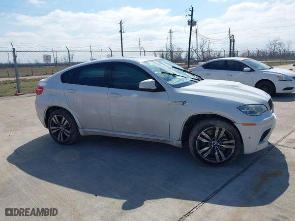 2014 BMW X6 M with VIN 5YMGZ0C51E0C40719, listed as a IAAI auction lot 41567554 with NaN miles. Bid and sale history available at carsss.com. Image 13.