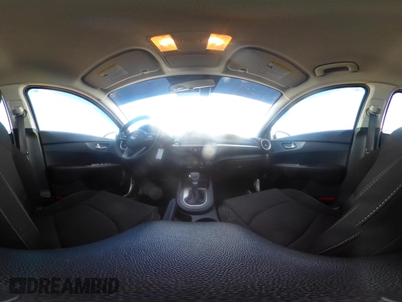 2020 Kia Forte LXS z VIN 3KPF24AD6LE252277, wystawiony jako IAAI lot #41813655 z przebiegiem 61 919 mil mil oraz . Historia ofert i sprzedaży dostępna na DreamBid. Obrazek 18.
