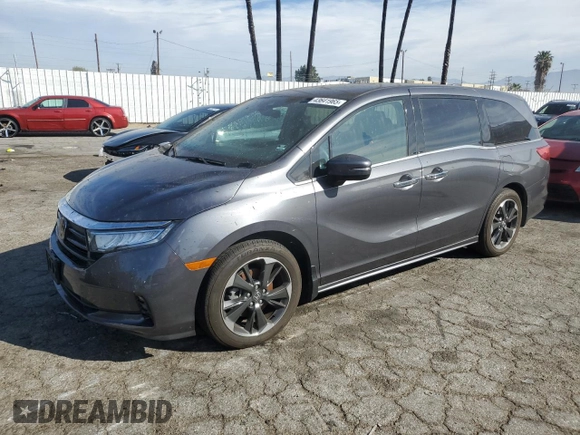 2023 Honda Odyssey Elite с VIN 5FNRL6H97PB071003, выставлен на аукционе Copart как лот 43641965 с пробегом Не указан миль и Списание • Salvage title. История ставок и продаж доступна на DreamBid. Изображение 1.