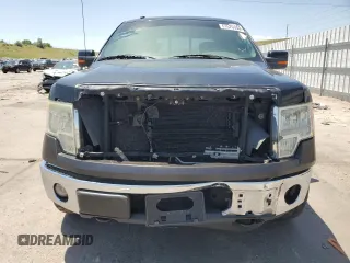 2009 Ford F-150 XL with VIN 1FTPW14V39FA05910, listed as a Copart auction lot 61620655 with 152,400 mi miles and Clean title. Bid and sale history available at DreamBid. Image 5.