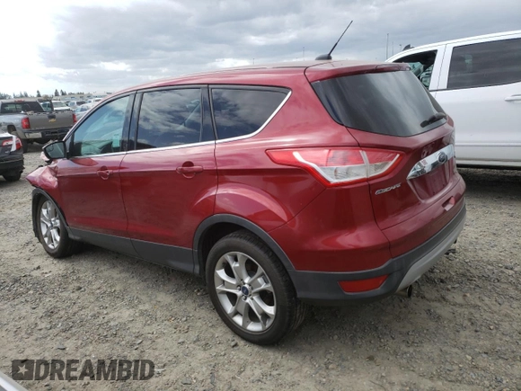 2013 Ford Escape SEL with VIN 1FMCU0HX5DUA81302, listed as a Copart auction lot 50839595 with 161,151 mi miles and Salvage title. Bid and sale history available at DreamBid. Image 2.