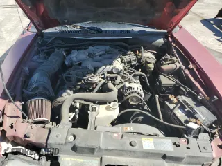 2003 Ford Mustang Standard with VIN 1FAFP40423F429146, listed as a Copart auction lot 54123015 with 0 mi miles and Clean Title. Bid and sale history available at carsss.com. Image 11.