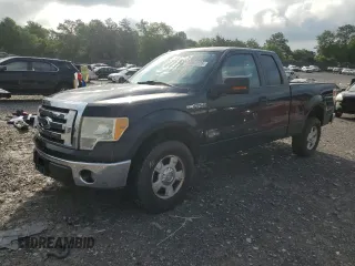 2010 Ford F-150 XL with VIN 1FTEX1C80AFD29319, listed as a Copart auction lot 59480375 with 282,414 mi miles and Salvage title. Bid and sale history available at DreamBid. Image 1.