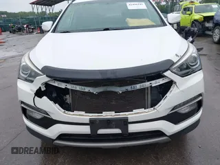 2017 Hyundai Santa Fe 2.4L with VIN 5XYZUDLB0HG397831, listed as a IAAI auction lot 42496341 with 96,333 mi miles and . Bid and sale history available at DreamBid. Image 6.