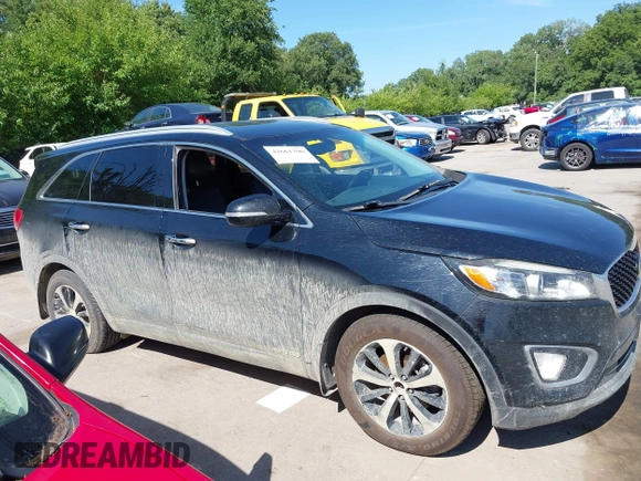 2016 Kia Sorento EX with VIN 5XYPHDA5XGG176132, listed as a IAAI auction lot 42661390 with 263,481 mi miles and . Bid and sale history available at DreamBid. Image 13.