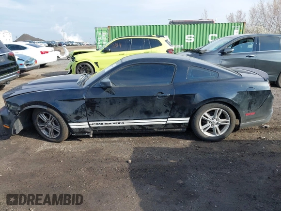 2010 Ford Mustang V6 with VIN 1ZVBP8AN6A5120674, listed as a IAAI auction lot 41986060 with 144,388 mi miles and . Bid and sale history available at carsss.com. Image 14.