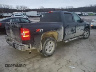 2009 Chevrolet Silverado 1500 LT with VIN 3GCEK23319G196489, listed as a Copart auction lot 87068324 with Not Provided miles and Salvage Title. Bid and sale history available at DreamBid. Image 3.