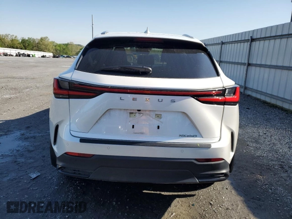 2023 Lexus NX with VIN JTJGDCAZ6P5010852, listed as a Copart auction lot 51527835 with 23,813 mi miles and Salvage Title. Bid and sale history available at carsss.com. Image 6.