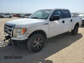 2014 Ford F-150 XL with VIN 1FTFW1EF1EKE02424, listed as a Copart auction lot 49651275 with 193,466 mi miles and Salvage Title. Bid and sale history available at carsss.com. Image 1.