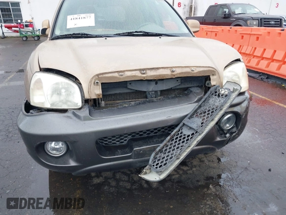 2003 Hyundai Santa Fe GLS with VIN KM8SC73D63U350345, listed as a IAAI auction lot 41841877 with 109,764 mi miles. Bid and sale history available at carsss.com. Image 6.