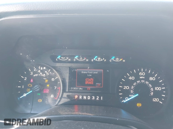 2017 Ford F-150 XL with VIN 1FTEX1C89HKD20104, listed as a IAAI auction lot 41341433 with 213,037 mi miles. Bid and sale history available at carsss.com. Image 7.