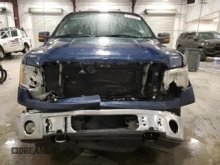 2013 Ford F-150 XL with VIN 1FTFW1EF9DKE61705, listed as a Copart auction lot 61339085 with 169,322 mi miles and Salvage title. Bid and sale history available at DreamBid. Image 5.