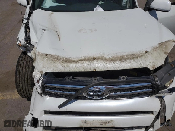 2007 Toyota RAV4 Limited with VIN JTMBD31V175071293, listed as a Copart auction lot 61024925 with Not provided miles and Clean title. Bid and sale history available at DreamBid. Image 11.