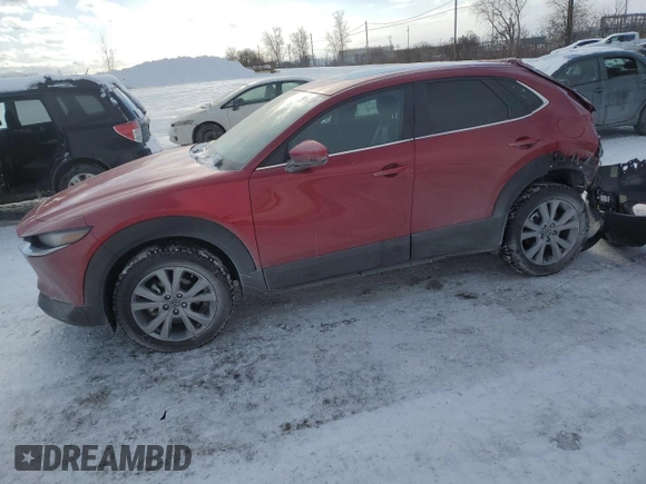 2021 Mazda CX-30 Preferred with VIN 3MVDMBCL1MM256320, listed as a Copart auction lot 43354855 with Not Provided miles and Salvage Title. Bid and sale history available at DreamBid. Image 1.
