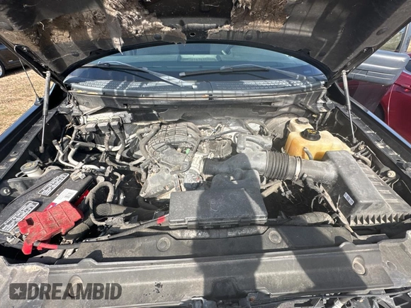 2013 Ford F-150 XL with VIN 1FTMF1CM7DFE09796, listed as a Copart auction lot 86871264 with 67,872 mi miles and Clean title. Bid and sale history available at DreamBid. Image 7.