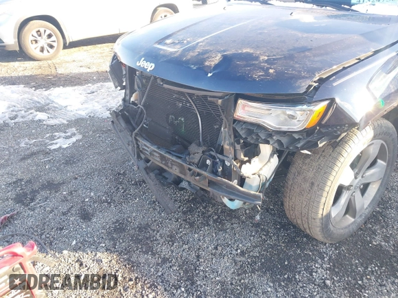 2014 Jeep Grand Cherokee Limited with VIN 1C4RJEBT0EC513098, listed as a IAAI auction lot 41324750 with 213,306 mi miles and . Bid and sale history available at DreamBid. Image 6.