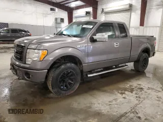 2013 Ford F-150 XL with VIN 1FTEX1EM6DFD11213, listed as a Copart auction lot 61350245 with 197,696 mi miles and Salvage title. Bid and sale history available at DreamBid. Image 1.