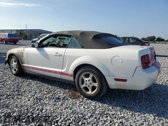 2008 Ford Mustang Deluxe with VIN 1ZVHT84N085133559, listed as a Copart auction lot 57449265 with Not provided miles and Salvage title. Bid and sale history available at DreamBid. Image 2.