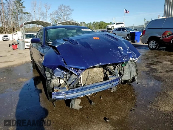 2013 Ford Mustang GT with VIN 1ZVBP8CF9D5269882, listed as a Copart auction lot 45360035 with Not Provided miles and Salvage Title. Bid and sale history available at carsss.com. Image 14.