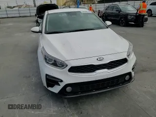 2019 Kia Forte LXS with VIN 3KPF24AD1KE103905, listed as a Copart auction lot 54056515 with 110,432 mi miles and Salvage Title. Bid and sale history available at carsss.com. Image 13.