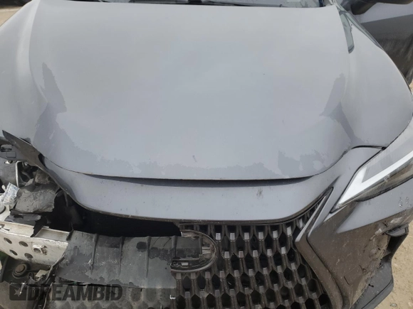 2022 Lexus NX with VIN JTJAGCEZ6N5003825, listed as a Copart auction lot 43038805 with 6,687 mi miles and Salvage Title. Bid and sale history available at carsss.com. Image 14.