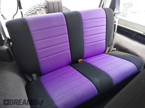 2002 Jeep Wrangler X with VIN 1J4FA39S32P738246, listed as a IAAI auction lot 42106359 with 266,993 mi miles and . Bid and sale history available at DreamBid. Image 8.