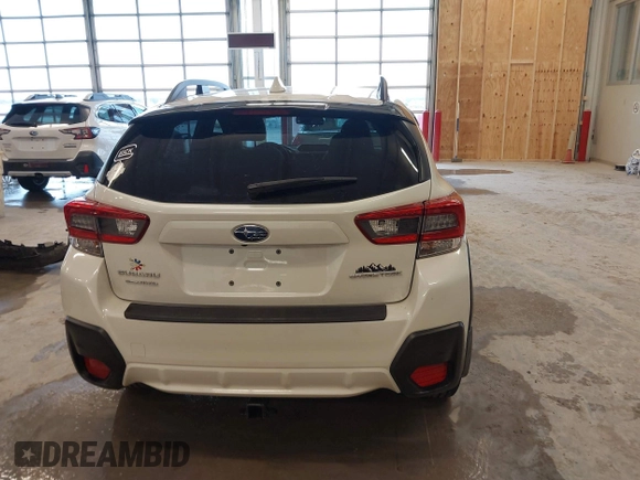 2023 Subaru Crosstrek Premium с VIN JF2GTACC2PG311000, выставлен на аукционе IAAI как лот 41688634 с пробегом 46 231 миль миль и . История ставок и продаж доступна на DreamBid. Изображение 16.