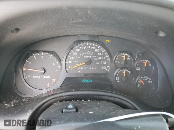 2008 Chevrolet TrailBlazer 1LT with VIN 1GNDT13S782123152, listed as a Copart auction lot 45971355 with 229,630 mi miles and Salvage Title. Bid and sale history available at DreamBid. Image 9.