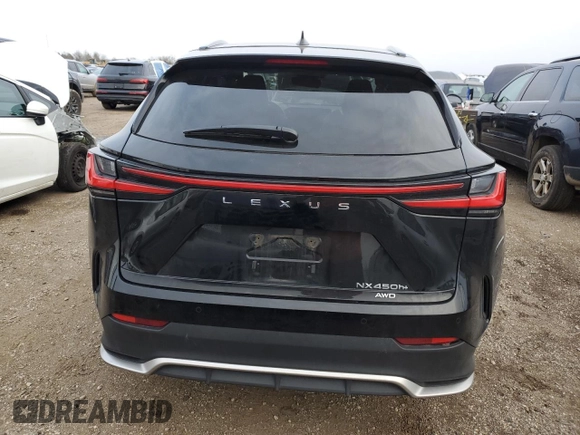 2022 Lexus NX with VIN JTJKKCFZ4N2004779, listed as a Copart auction lot 85951914 with 0 mi miles and Salvage Title. Bid and sale history available at carsss.com. Image 6.