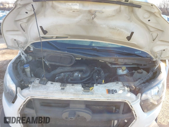 2020 Ford Transit Cargo with VIN 1FTBR1Y88LKA06393, listed as a IAAI auction lot 41283124 with 229,589 mi miles and . Bid and sale history available at DreamBid. Image 10.