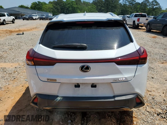 2019 Lexus UX 200 with VIN JTHY3JBH0K2019012, listed as a Copart auction lot 52217285 with 40,617 mi miles and Salvage title. Bid and sale history available at DreamBid. Image 6.
