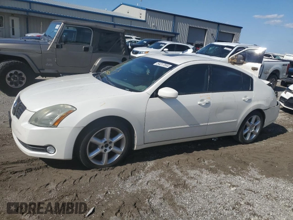 2006 Nissan Maxima 3.5 SE with VIN 1N4BA41E46C834230, listed as a Copart auction lot 54317554 with 0 mi miles and Salvage Title. Bid and sale history available at carsss.com. Image 1.